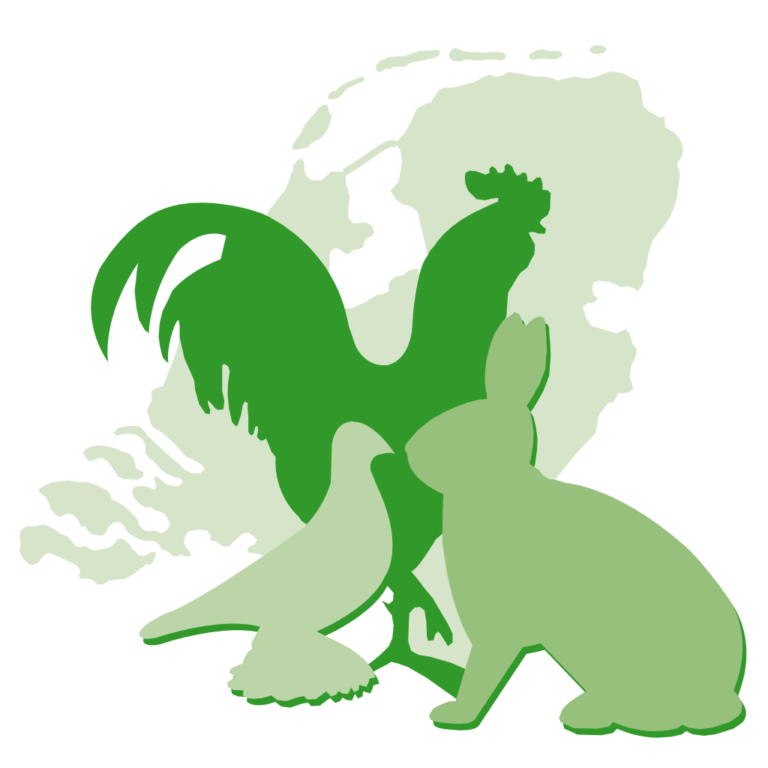 kln-favicon